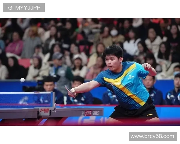 南京乒乓球队在全国锦标赛中的技术表现分析与总结